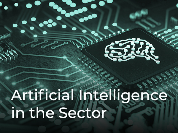 Artificial Intelligence in the Sector